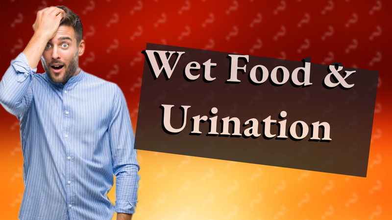 Wet Food & Urination
