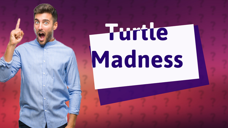 Turtle Madness