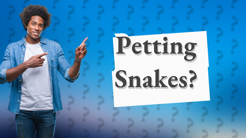 Petting Snakes?