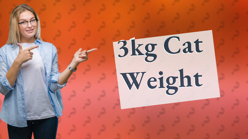 3kg Cat Weight