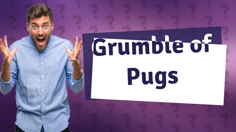 Grumble of Pugs