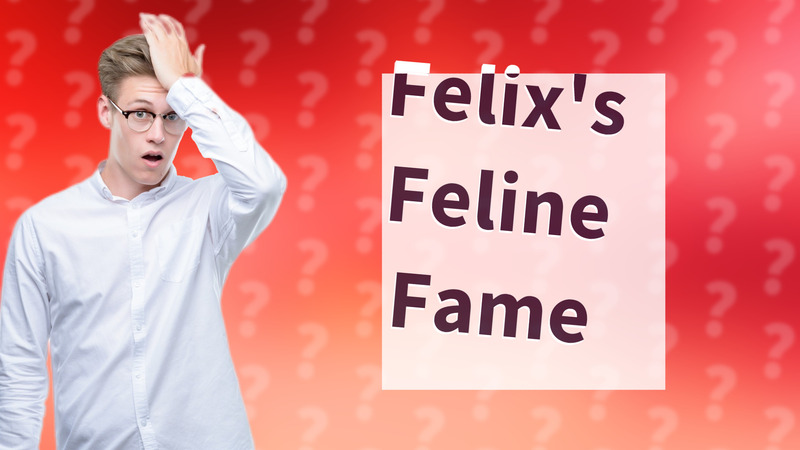 Felix's Feline Fame