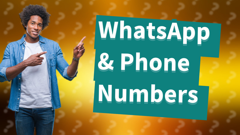 WhatsApp & Phone Numbers