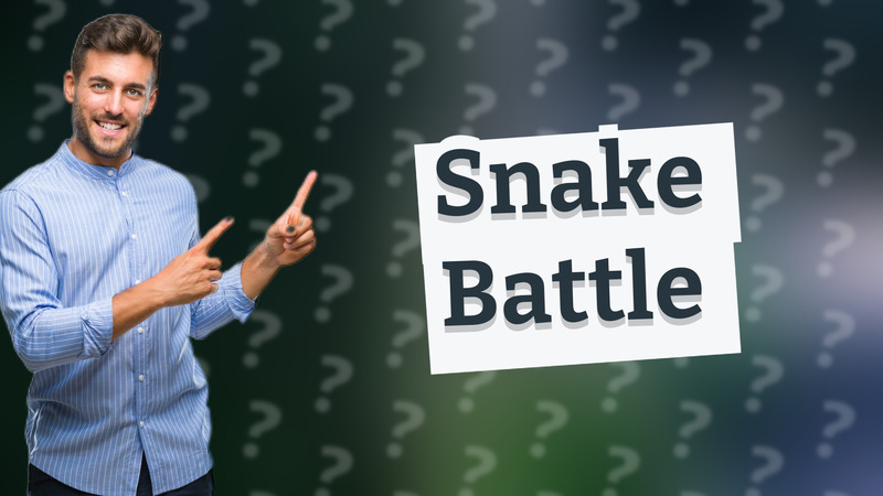 Snake Battle