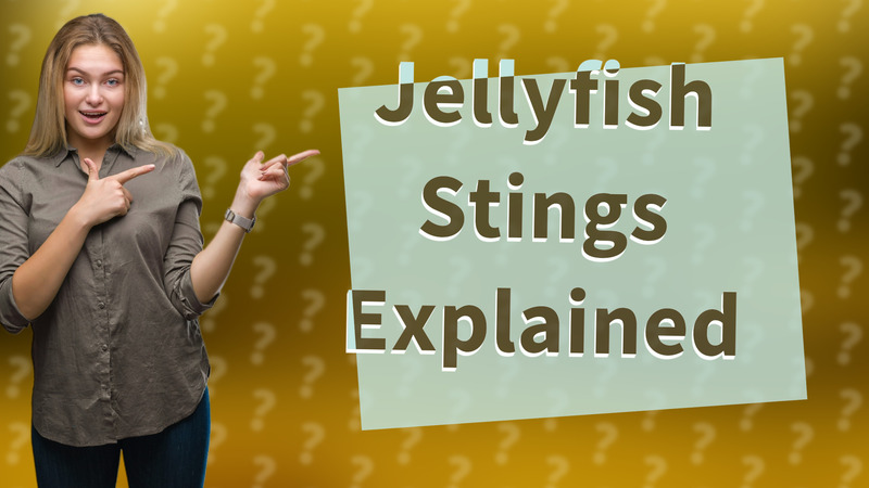 Jellyfish Stings Explained