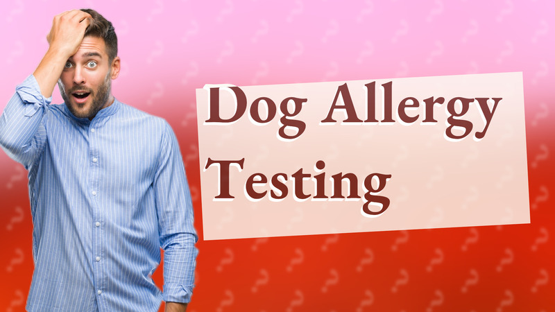 Dog Allergy Testing
