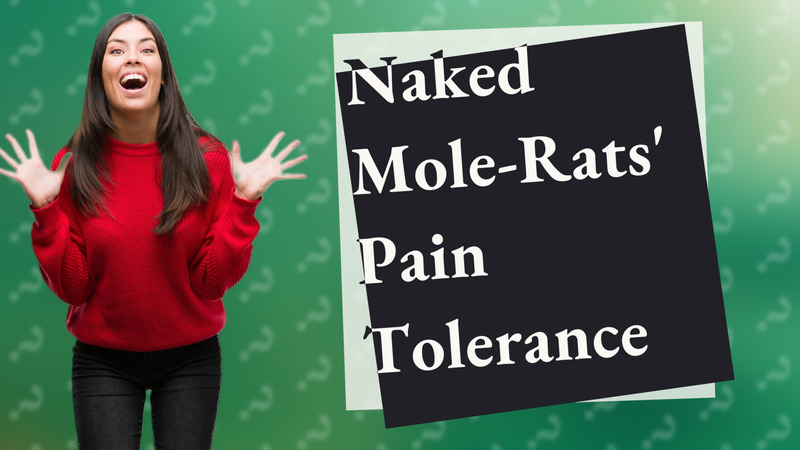 Naked Mole-Rats' Pain Tolerance