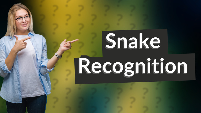 Snake Recognition