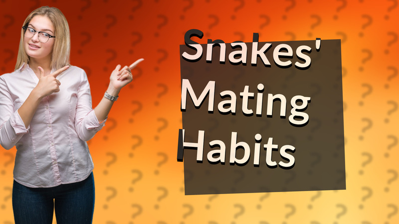 Snakes' Mating Habits