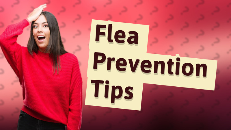 Flea Prevention Tips