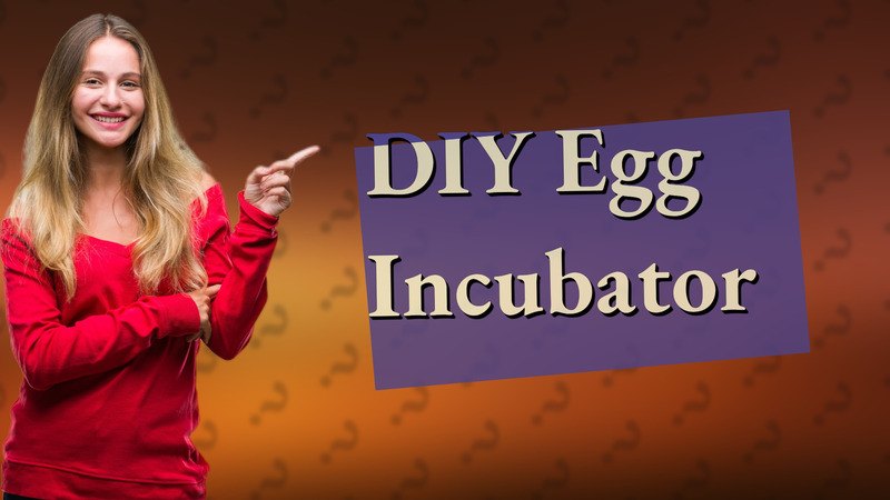 DIY Egg Incubator