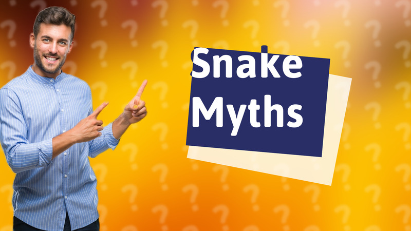 Snake Myths