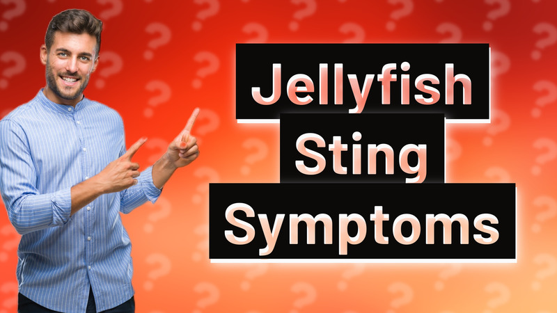 Jellyfish Sting Symptoms