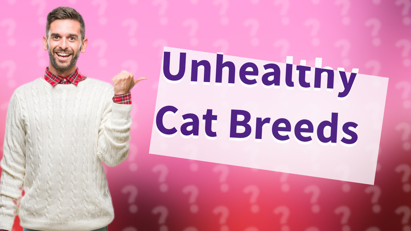Unhealthy Cat Breeds