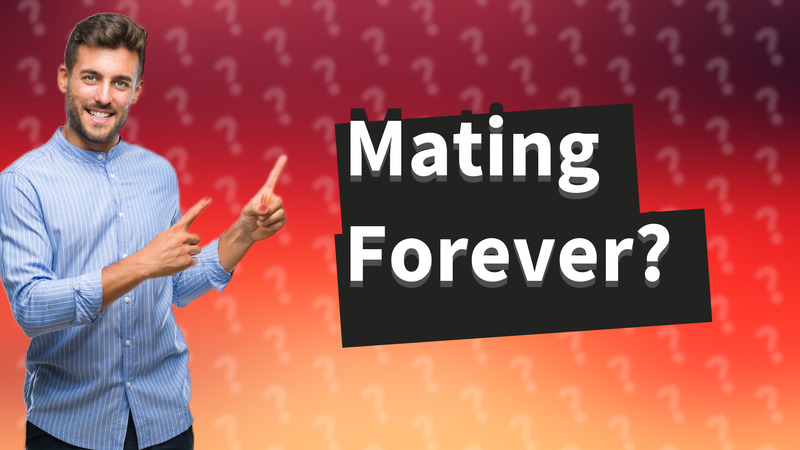 Mating Forever?