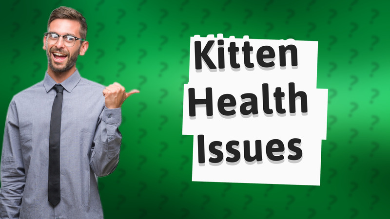 Kitten Health Issues