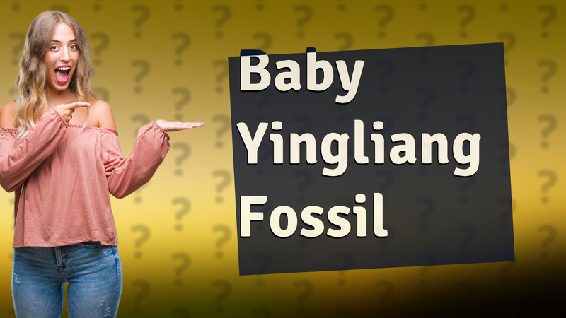 Baby Yingliang Fossil