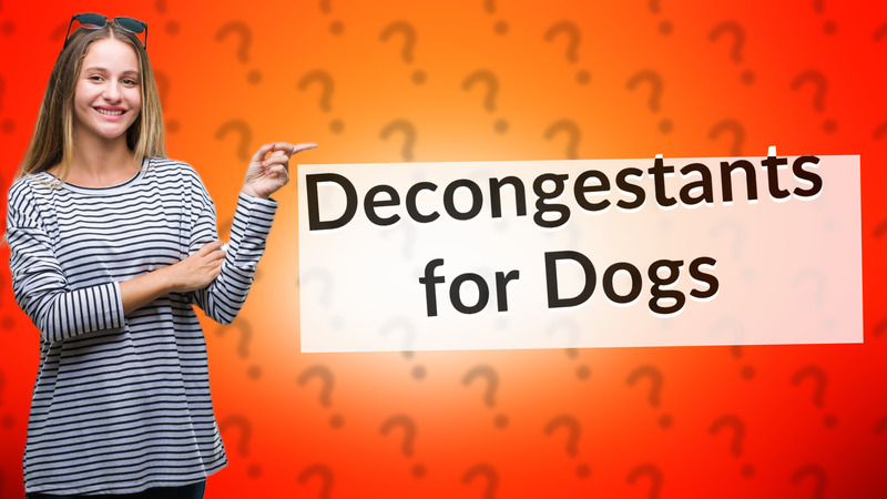 Decongestants for Dogs