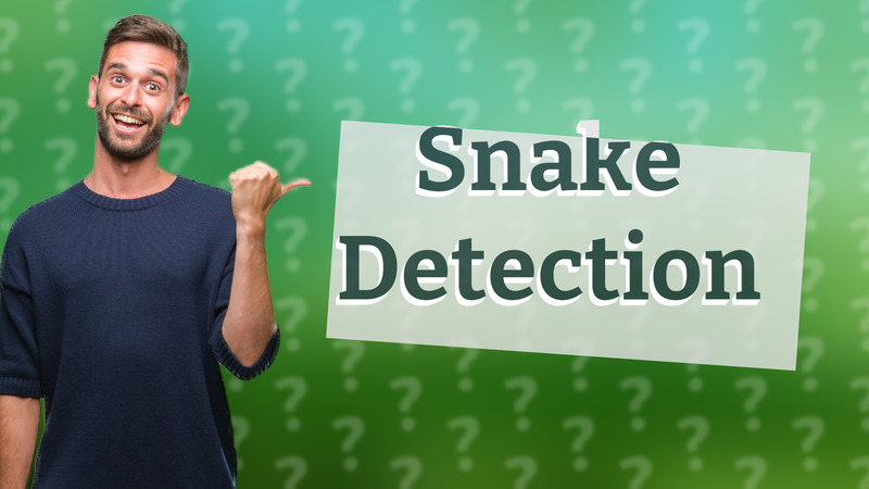 Snake Detection