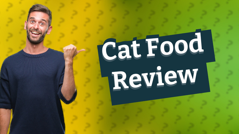 Cat Food Review