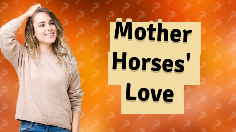 Mother Horses' Love