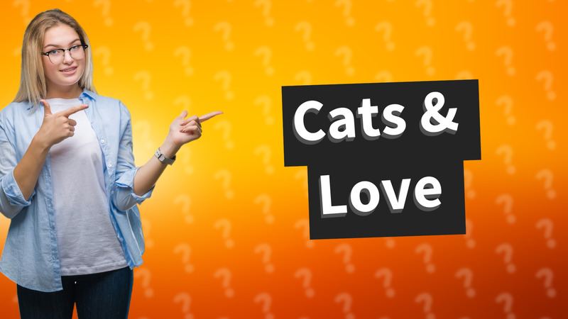 Cats & Love