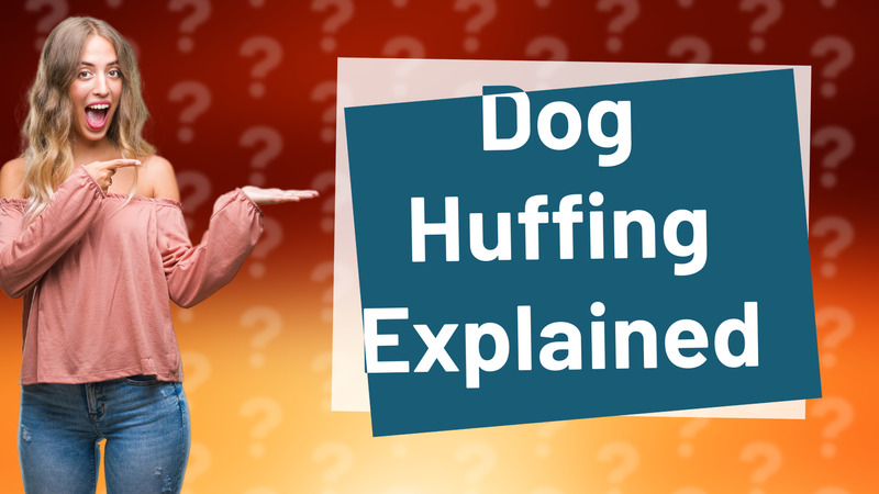 Dog Huffing Explained