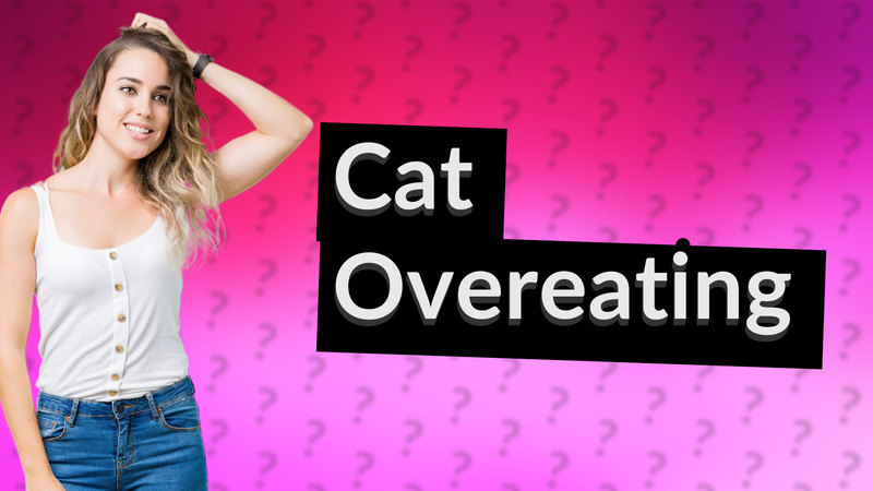 Cat Overeating