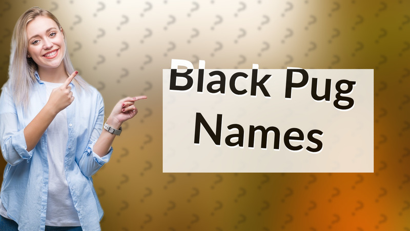 Black Pug Names