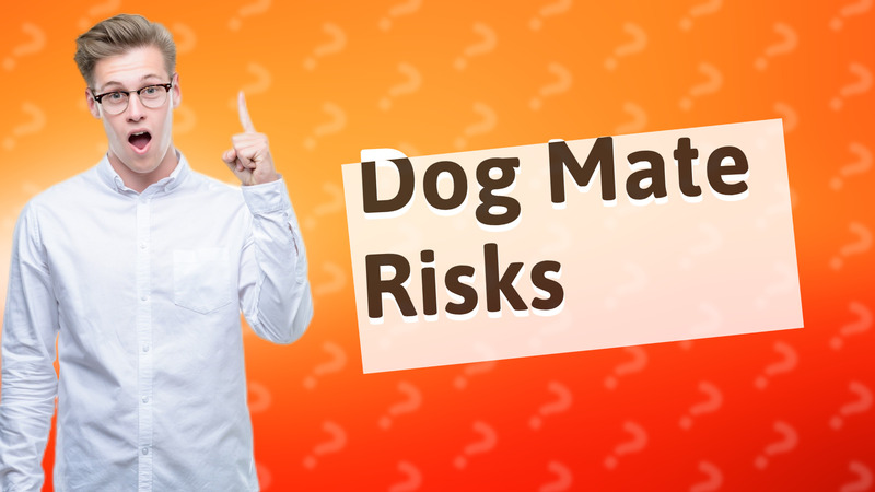 Dog Mate Risks