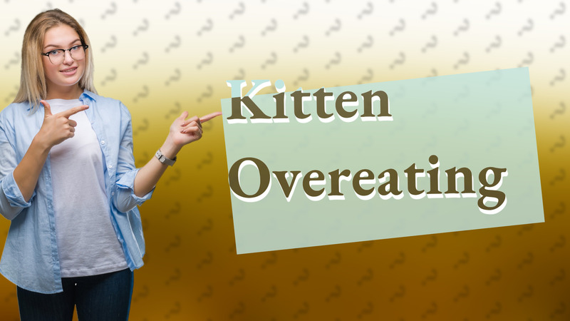 Kitten Overeating