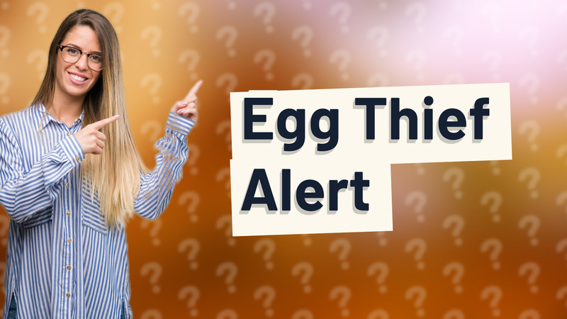 Egg Thief Alert