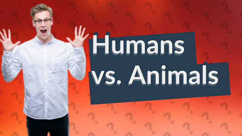 Humans vs. Animals