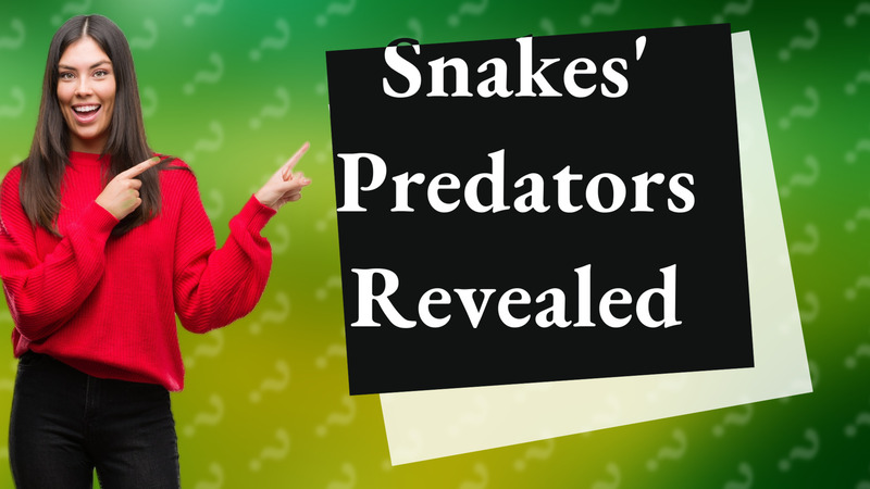 Snakes' Predators Revealed