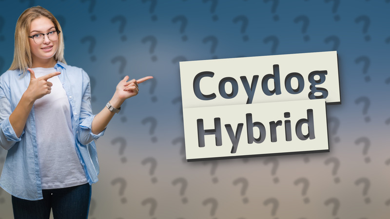 Coydog Hybrid
