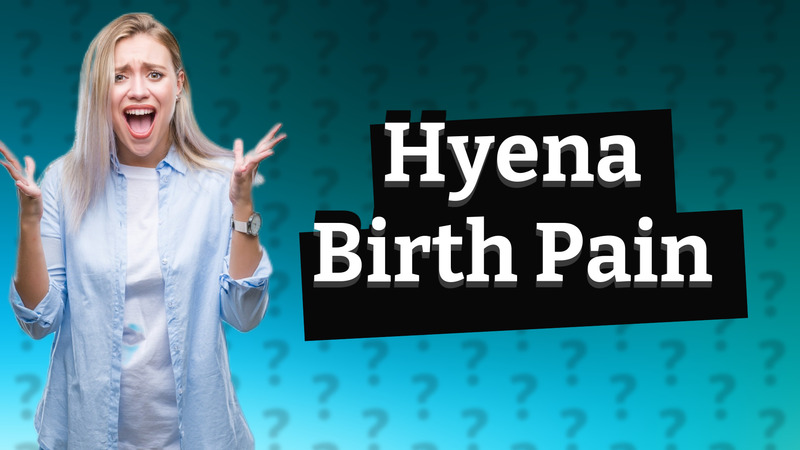 Hyena Birth Pain