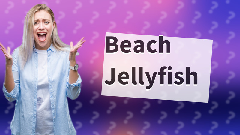 Beach Jellyfish