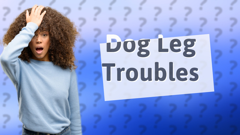Dog Leg Troubles