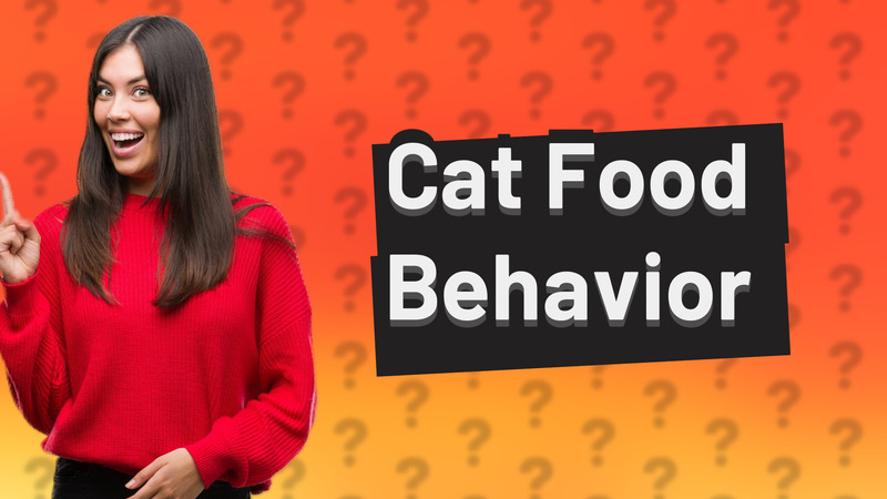 Cat Food Behavior