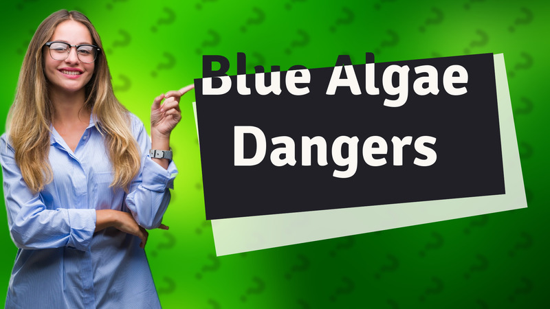 Blue Algae Dangers
