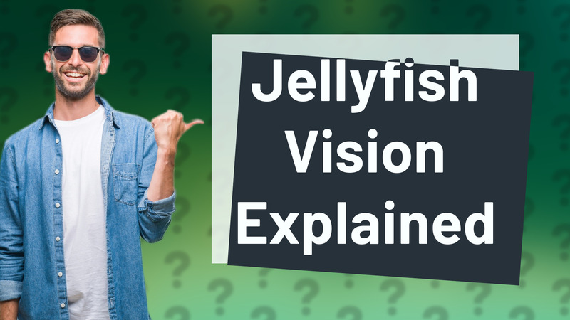 Jellyfish Vision Explained