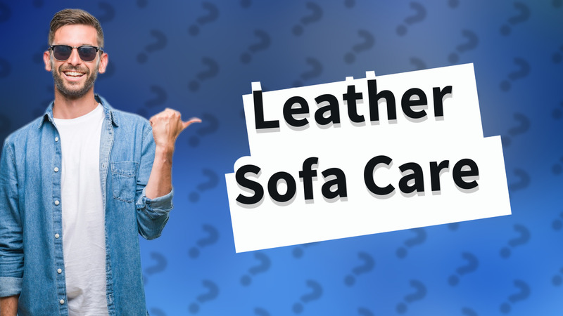 Leather Sofa Care