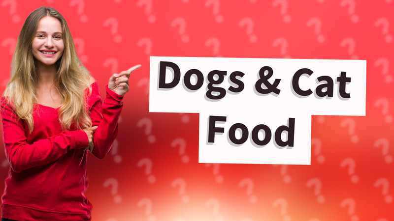 Dogs & Cat Food