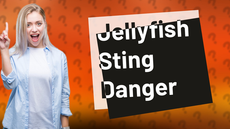 Jellyfish Sting Danger