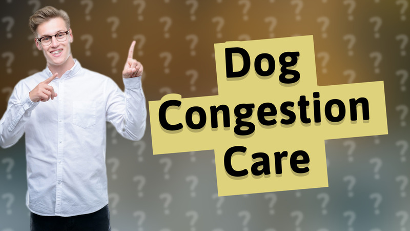 Dog Congestion Care
