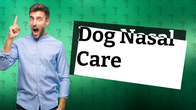 Dog Nasal Care