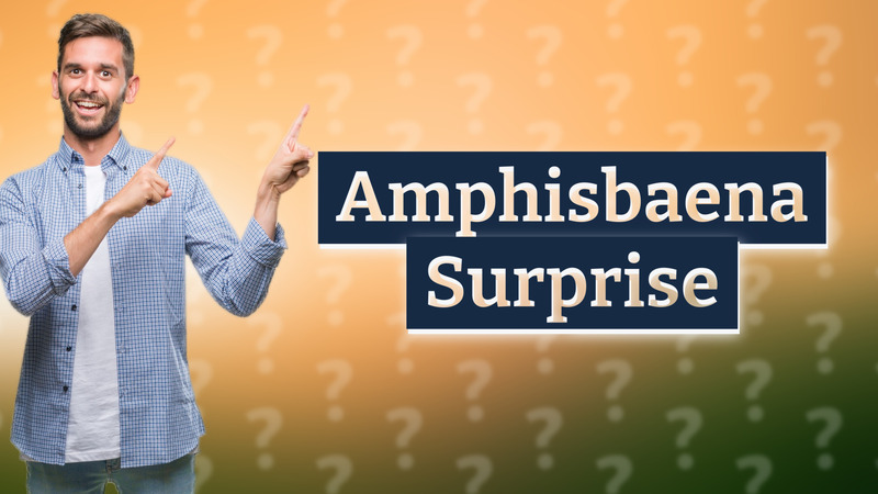 Amphisbaena Surprise