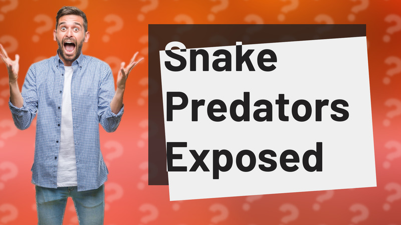 Snake Predators Exposed