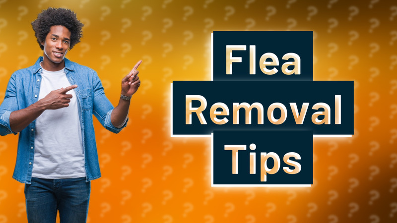 Flea Removal Tips