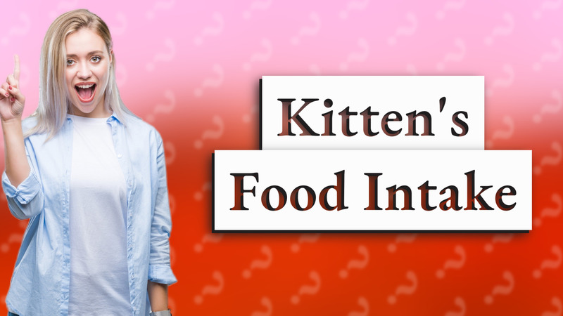Kitten's Food Intake